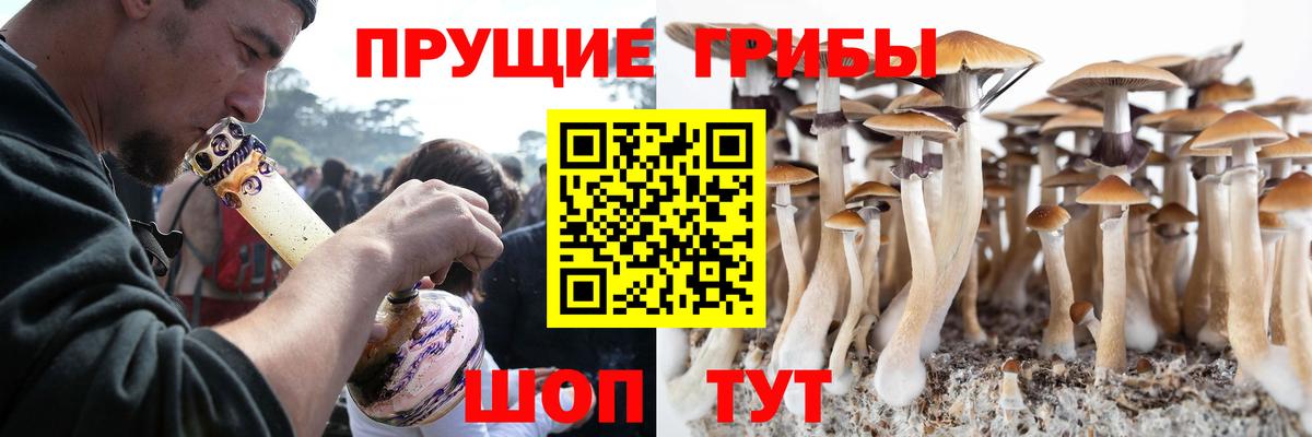 Псилоцибиновые грибы мухоморы  Вход с VPN  Галлюциногенные грибы GOLDEN TEACHER  Ишимбай 